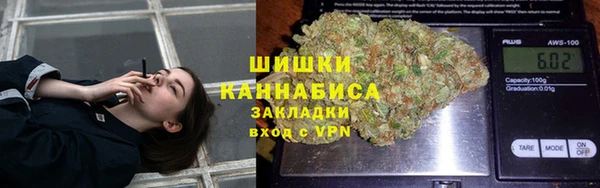 стаф Арсеньев