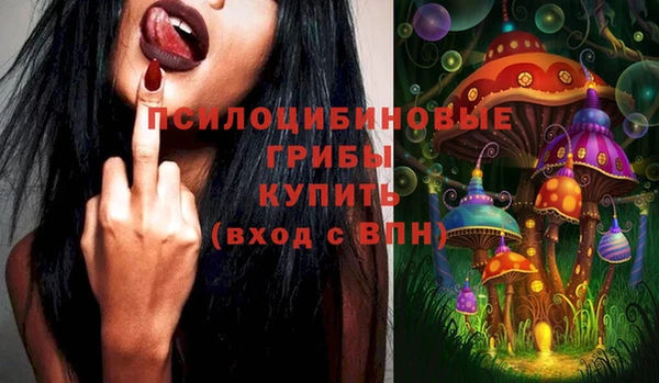 стаф Арсеньев