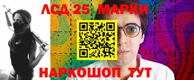 ALPHA PVP Камышлов