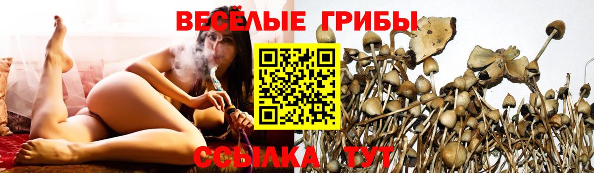 Псилоцибиновые грибы Psilocybe  Галлюциногенные грибы GOLDEN TEACHER  Вход с VPN  Феодосия 